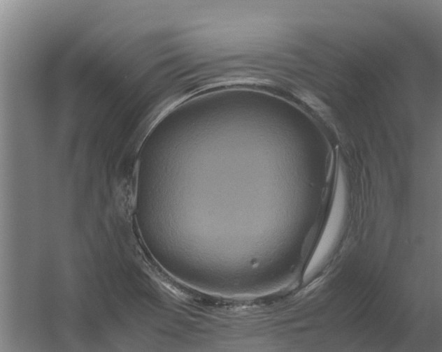 X0000059811369200511041642