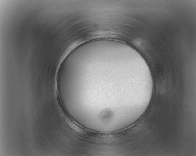 X0000059811370200511041642