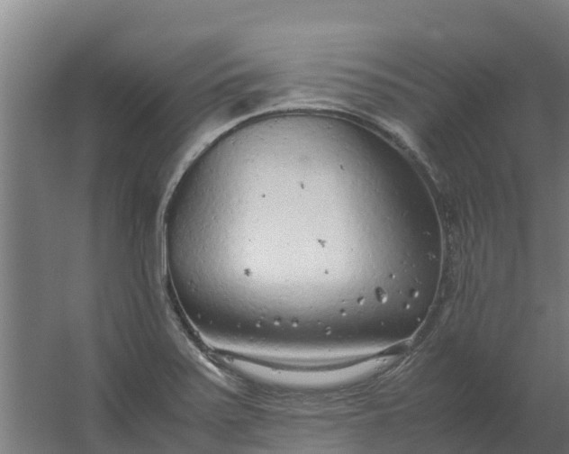 X0000059811371200511041642