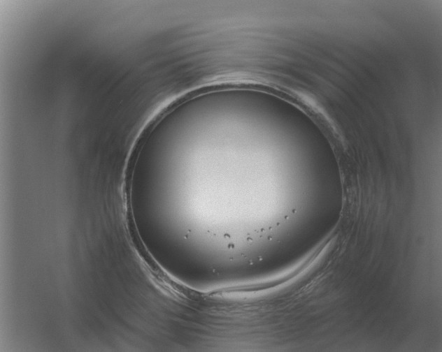 X0000059811372200511041642