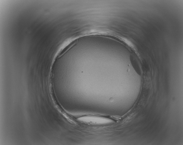 X0000059811373200511041642