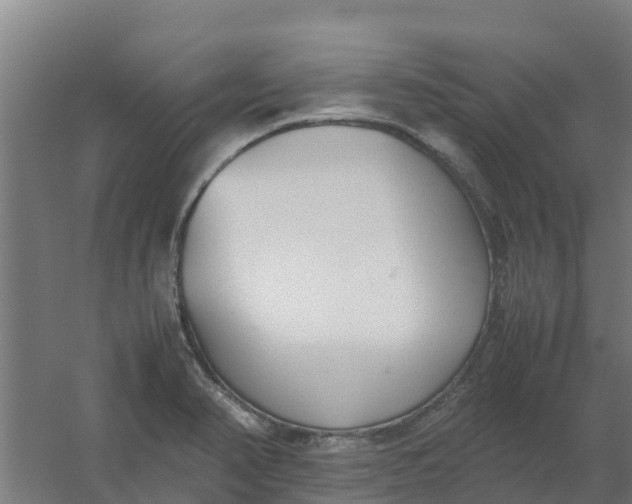 X0000059811374200511041642