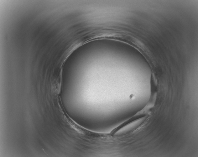 X0000059811377200511041642