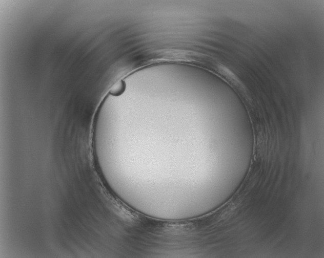 X0000059811378200511041642