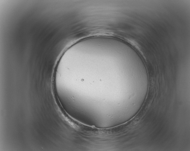 X0000059811379200511041642