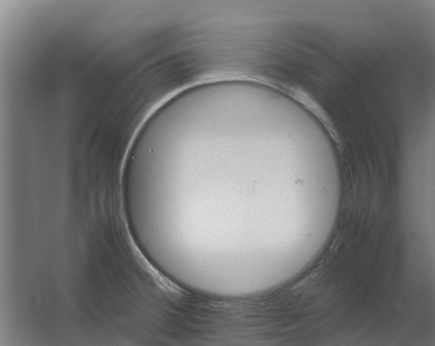 X0000059811380200511041642