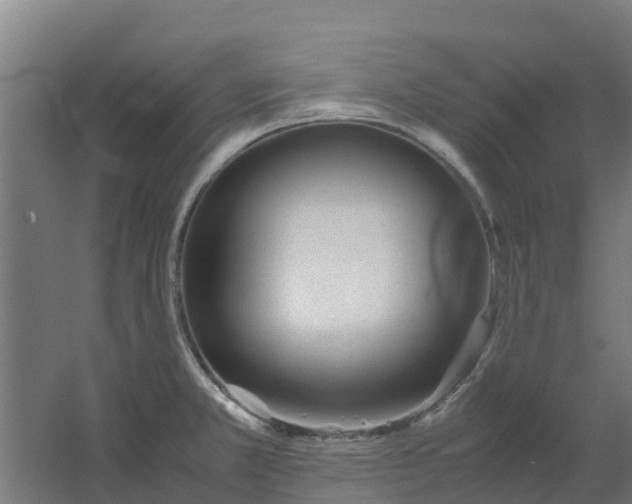 X0000059811381200511041642