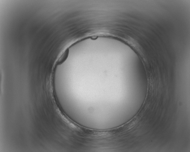 X0000059811382200511041642