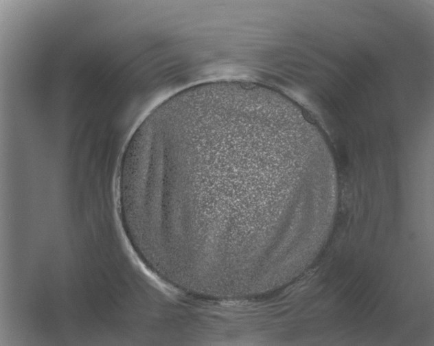 X0000059811383200511041642