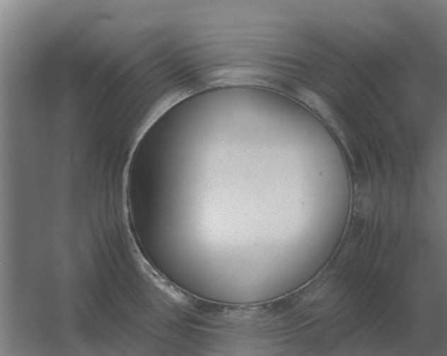 X0000059811386200511041642