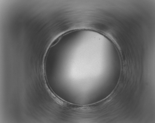 X0000059811388200511041642