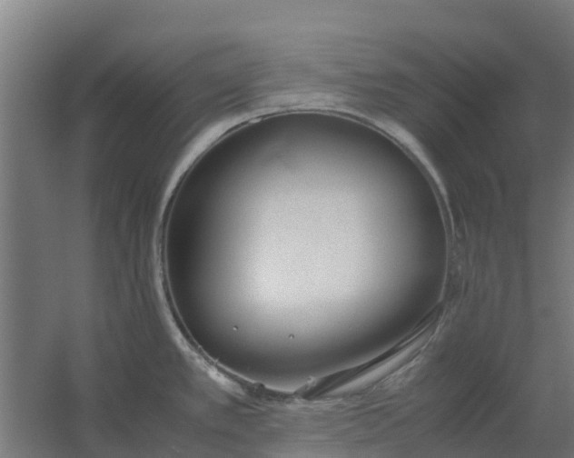 X0000059811389200511041642