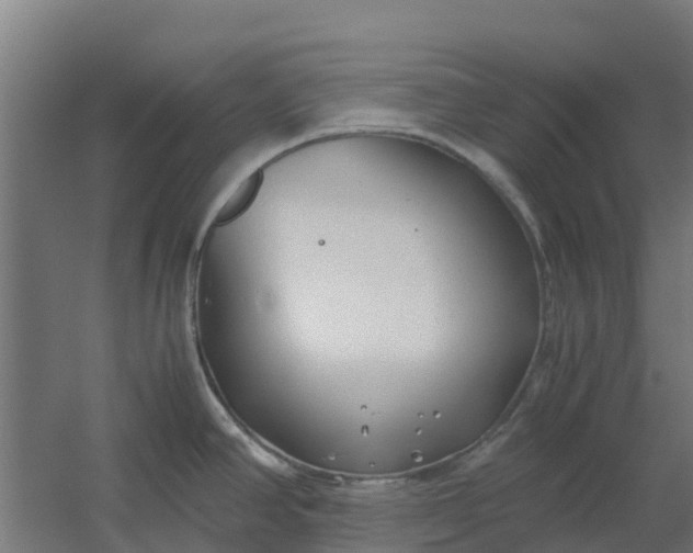 X0000059811390200511041642