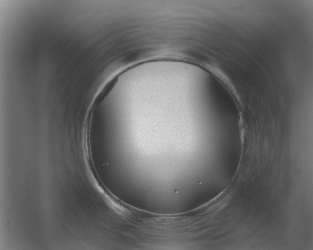 X0000059811391200511041642