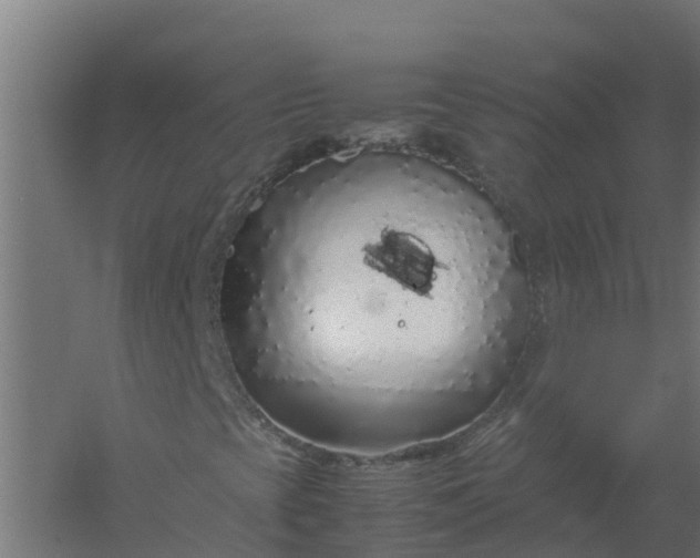 X0000059811393200511041641