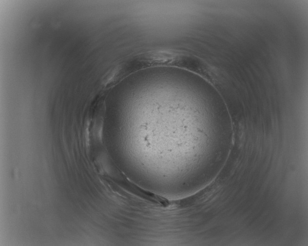 X0000059811394200511041641