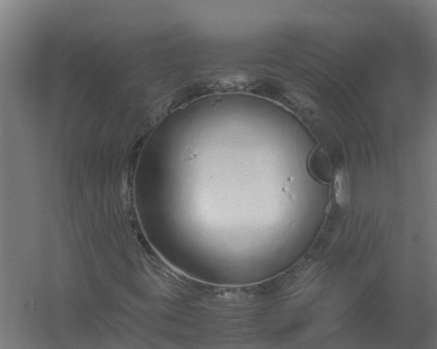 X0000059811395200511041641