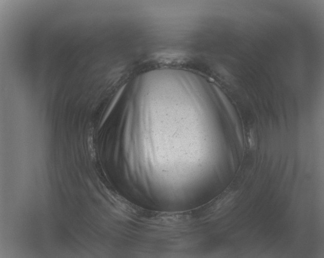 X0000059811396200511041641