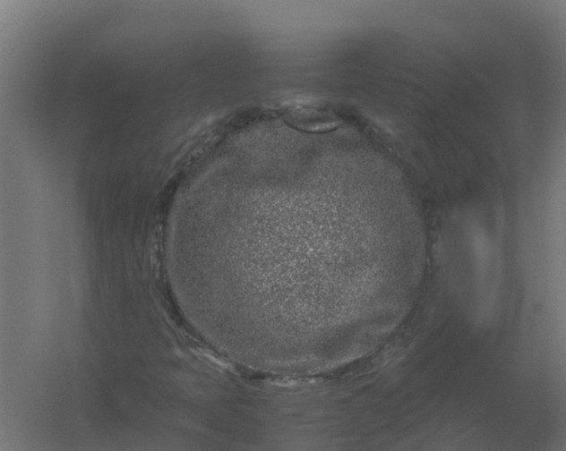 X0000059811397200511041641