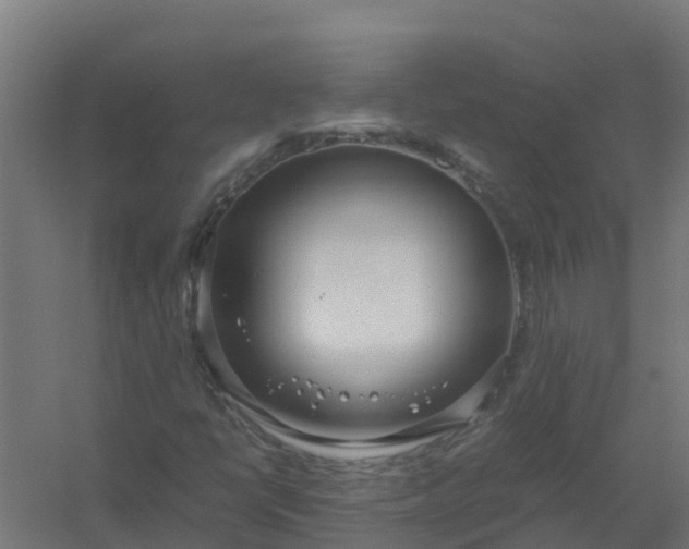 X0000059811398200511041641