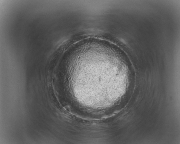 X0000059811399200511041641