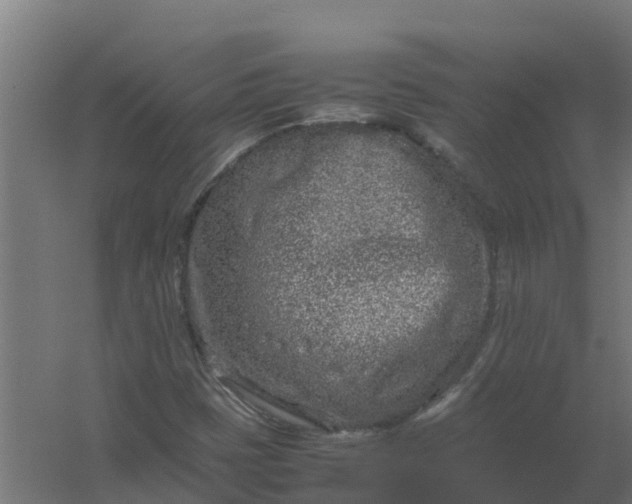 X0000059811401200511041641