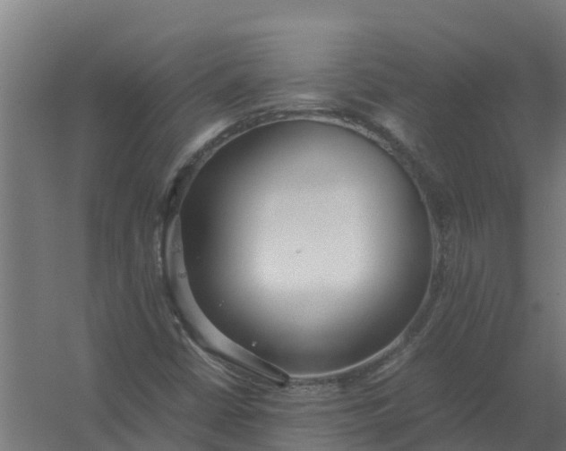 X0000059811402200511041641