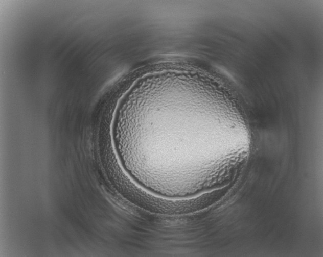 X0000059811403200511041641