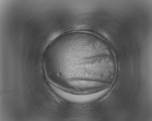 X0000059811405200511041641