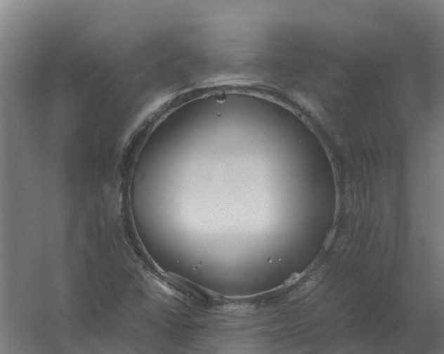 X0000059811406200511041641