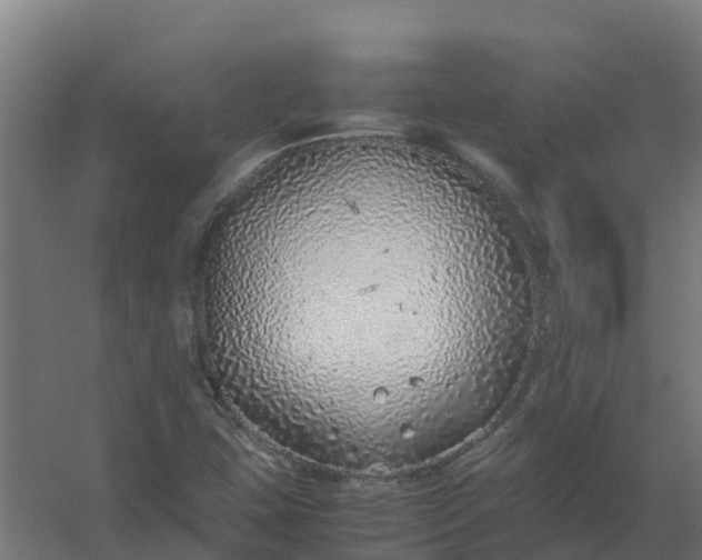 X0000059811407200511041641