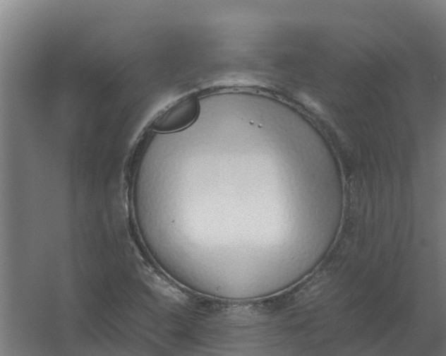 X0000059811408200511041641