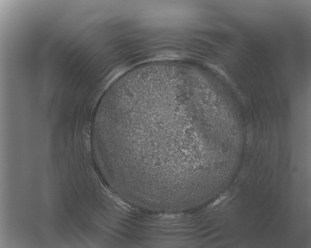 X0000059811409200511041641