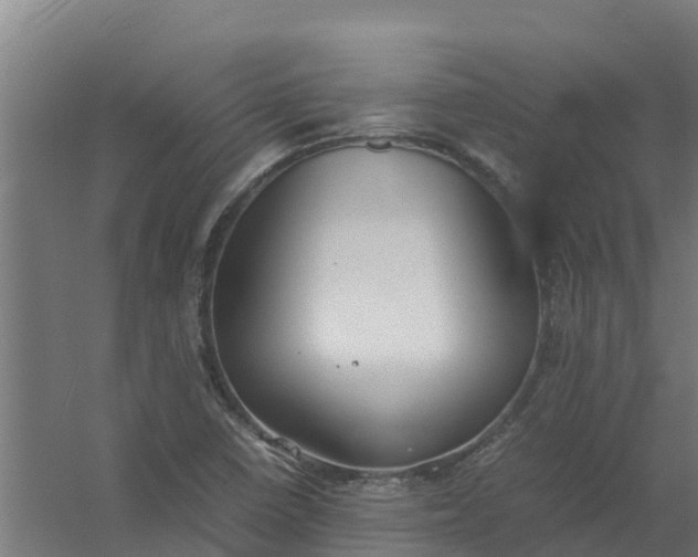 X0000059811410200511041641