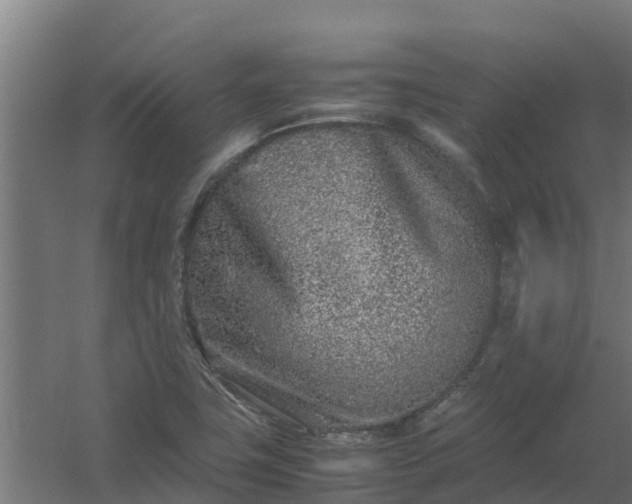 X0000059811411200511041641