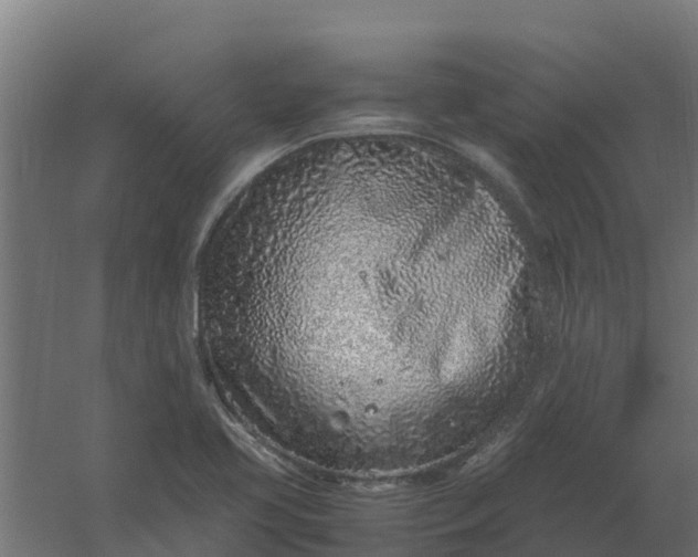 X0000059811413200511041641