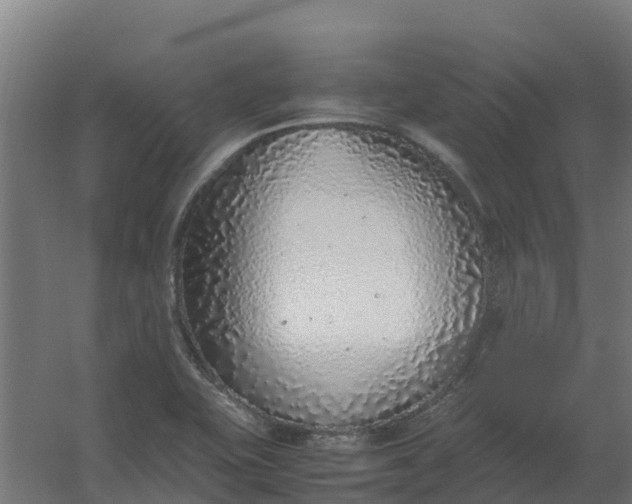 X0000059811415200511041641