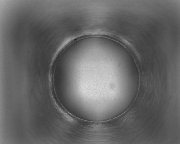 X0000059811416200511041642