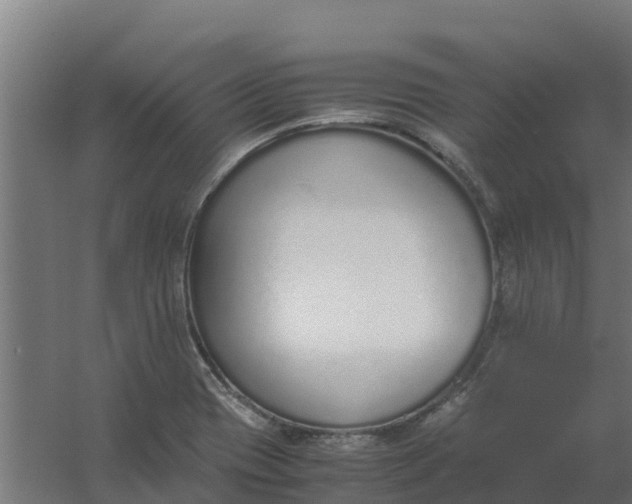 X0000059811417200511041642