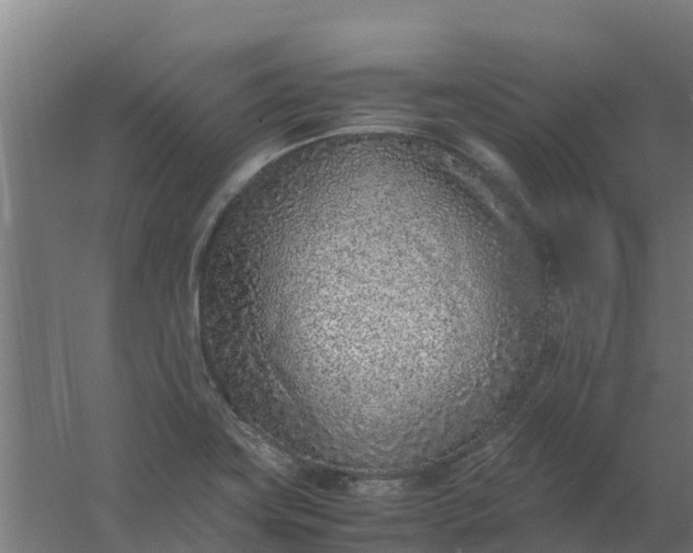 X0000059811419200511041642