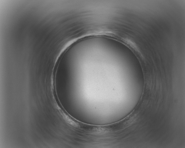 X0000059811420200511041642