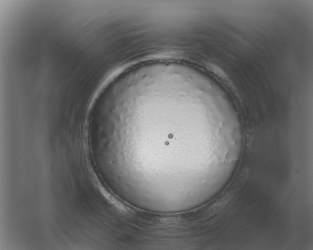 X0000059811421200511041642