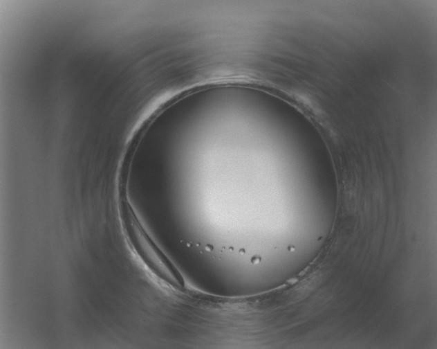 X0000059811422200511041642