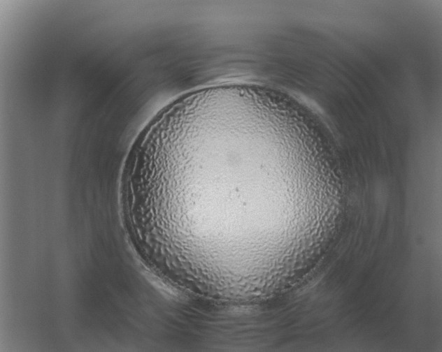 X0000059811423200511041642