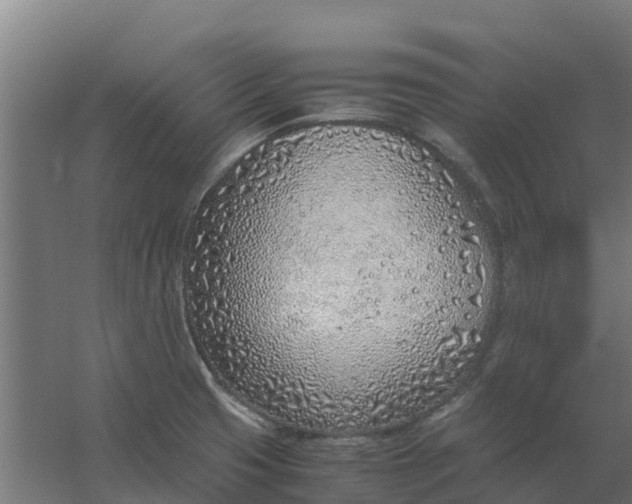 X0000059811425200511041642