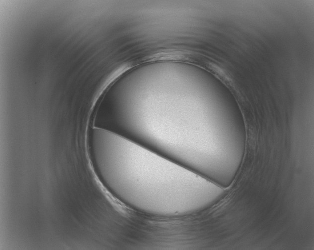 X0000059811426200511041642