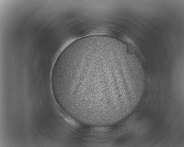 X0000059811427200511041642