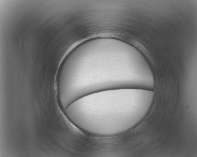 X0000059811428200511041642