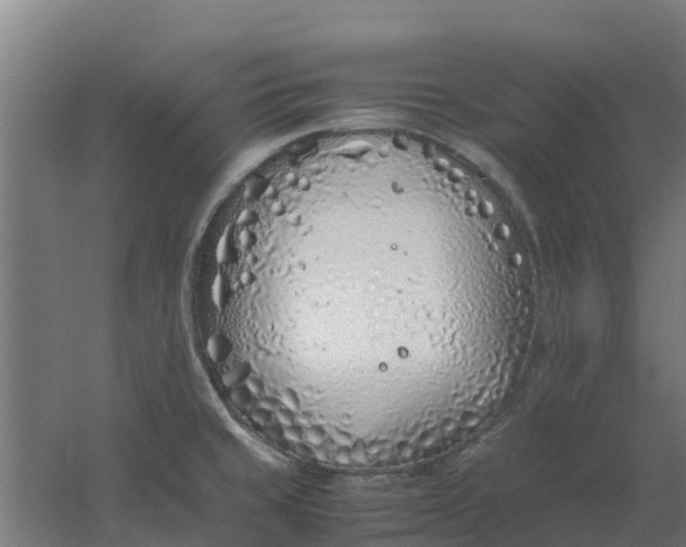 X0000059811429200511041642