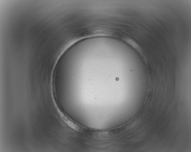 X0000059811431200511041642